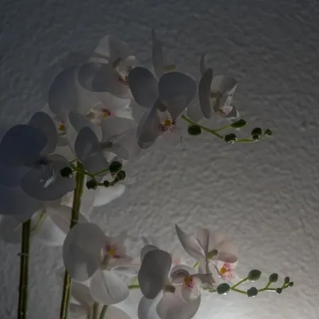 Beautiful Cosy - Eurexpo Apartmán *